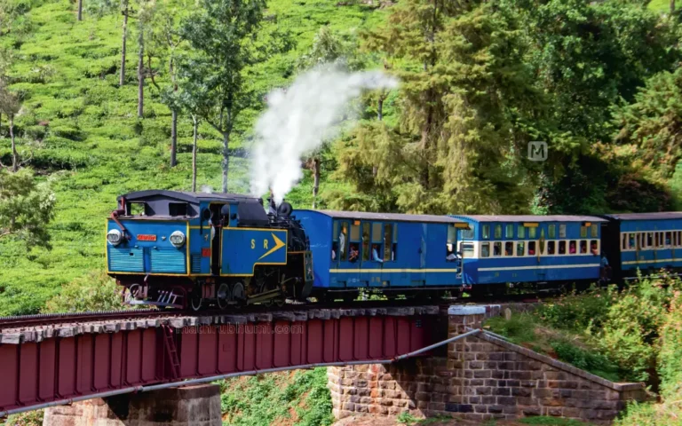 Train to Ooty